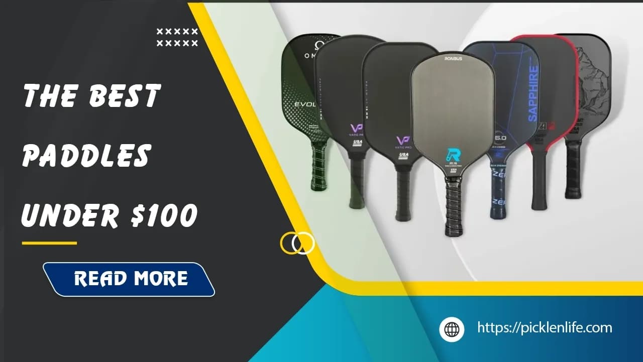 Top 6 Best Pickleball Paddles Under $100 in 2025 - Picklenlife