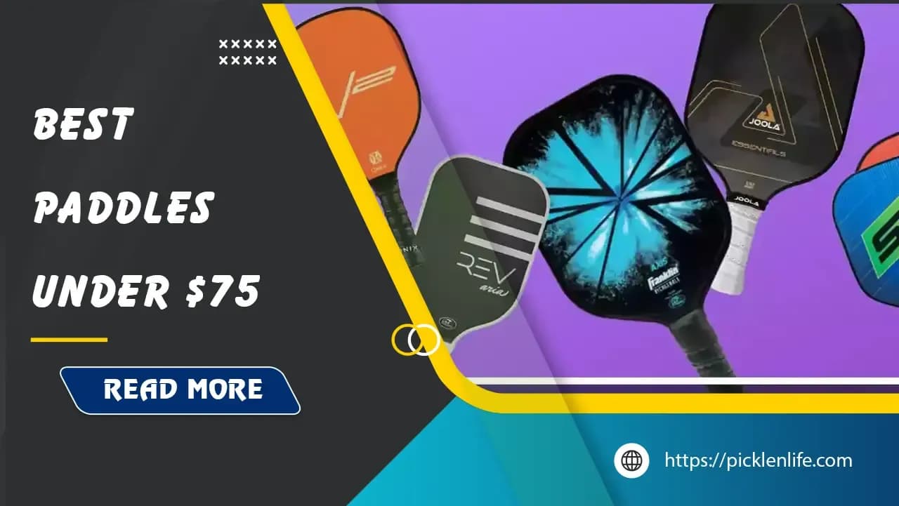 Top 7 Best Pickleball Paddles Under $75 in 2025 - PicklenLife