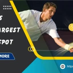 Top 7 Pickleball Paddle with Largest Sweet Spot in 2025