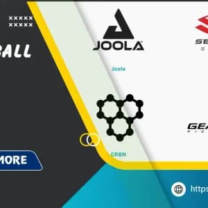 Best Pickleball Paddle Brands: A Comprehensive Guide for 2025