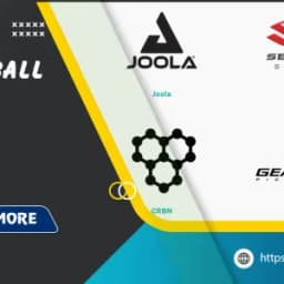Best Pickleball Paddle Brands: A Comprehensive Guide for 2025