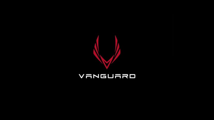 Selkirk Vanguard Hybrid Polypropylene X5 Core & Vanguard Power Polypropylene X6 Core Pickleball Paddles | Carbon Fiber Lightweight Pickleball Paddle & Midweight Pickle Ball Paddles |Made in The USA |