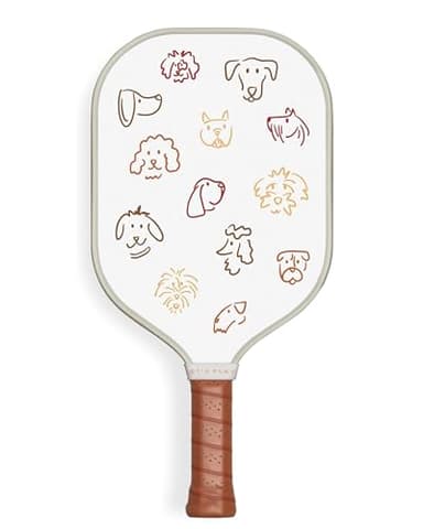 Recess Premium Pickleball Paddle - Strong & Durable Fiberglass Surface, Lightweight, Honeycomb Core & Comfort Grip Handles - Tournament or Casual Play, USAPA Approved