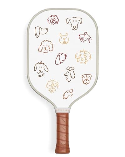 Recess Premium Pickleball Paddle - Strong & Durable Fiberglass Surface, Lightweight, Honeycomb Core & Comfort Grip Handles - Tournament or Casual Play, USAPA Approved