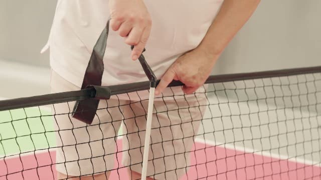 Pickleball Net Portable Outdoor Pickleball Net for Driveway 22ft Portable Pickle Ball Net Set with 4 Pickle Balls, Ball Holder, Lines Court Markers, Carrying Bag, 22ft Outdoor Pickle Ball Set with Net