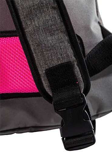 Franklin Sports Pickleball Bags -