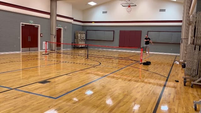 BAGAIL Portable Pickleball Net Set, 22 FT Regulation Size Pickle Ball Net with Ball Collector, Carry Bag, Easy Setup for Outdoor Indoor Driveway - Red