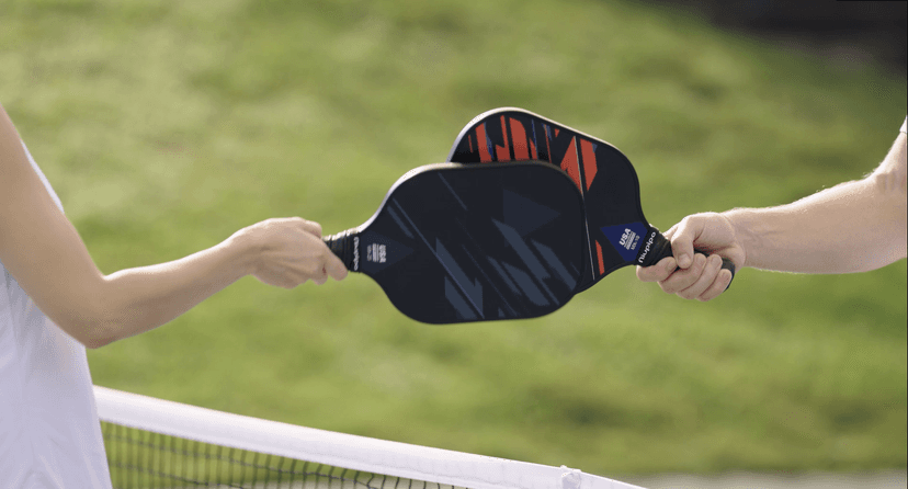 niupipo Pickleball Paddles Set of 2/4, USAPA Approved Lightweight Pickleball Rackets, Durable Fiberglass Surface with Polypropylene Honeycomb Core, Cushion Grip and Carry Bag