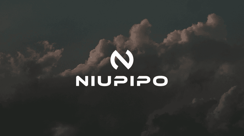 niupipo Pickleball Paddles Set of 2/4/1, USAPA Approved Graphite Carbon Fiber Pickleball Rackets, Polypropylene Honeycomb Core, Cushion 4.72In Grip, Bag/Cover, Pickle Ball Paddle Set for Men Women