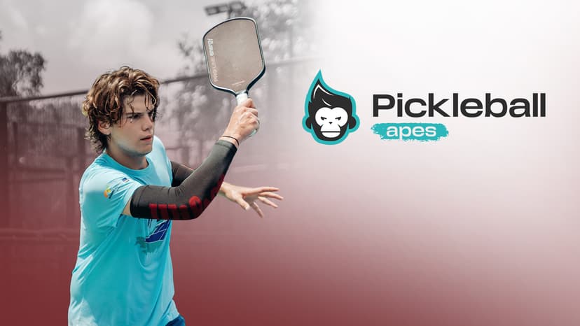 Professional Pickleball Paddles - Pro Line Energy USAPA Approved Pickleball Racket with Elongated Grip for Double-Handed Backhand - Dynamic Aramid-Carbon Fiber Surface Paddle by Pickleball Apes