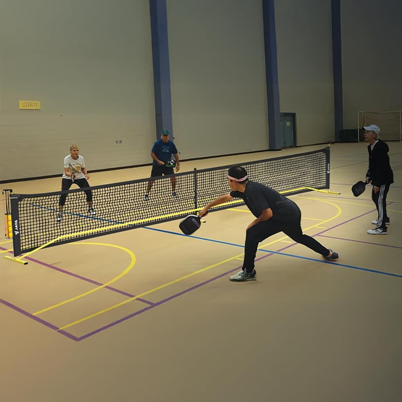 JAYA Ultra Stable Pickleball Net with Ball Holder and Balls, Weight Upgrade, IPF Standard 22 feet, Easy Setup