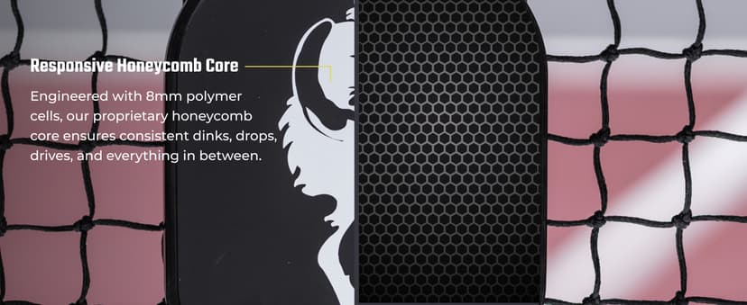 Carbon Graphite Pickleball Paddles - Lightweight Pickleball Rackets | Honeycomb Composite Core Improves Pickle Ball Placement and Increases Power | Durable Unibody Construction