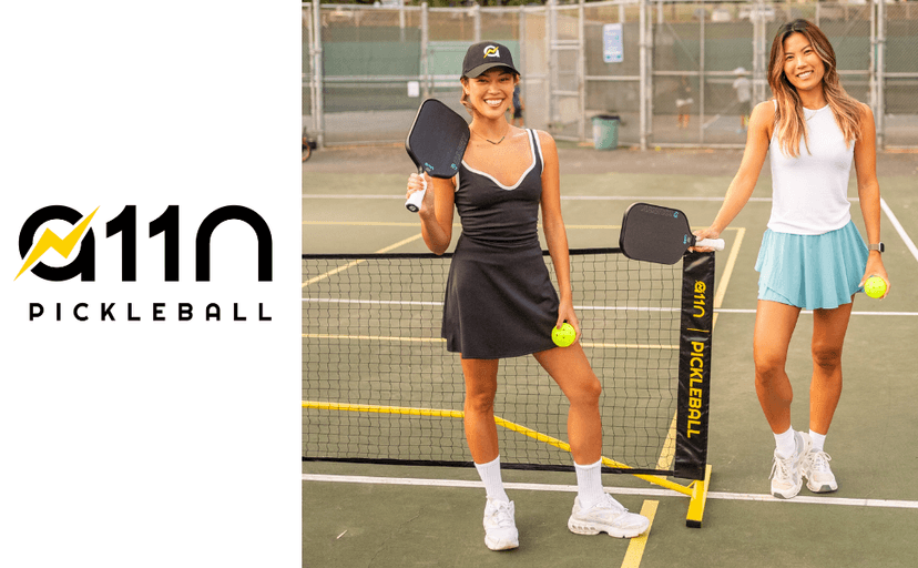 A11N SPORTS Portable Pickleball Net System, Regulation Size with Metal Frame and PE Net, Includes Carrying Bag