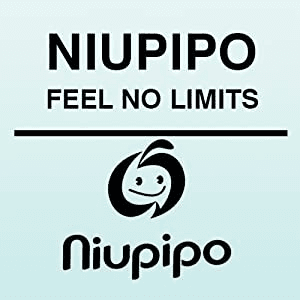 niupipo Pickleball Paddles Set of 2/4, USAPA Approved Fiberglass Surface Lightweight Pickle Ball Rackets with Honeycomb Core, 2 Indoor and 2 Outdoor Balls, 1 Carrying Bag for Beginner, Men, Women