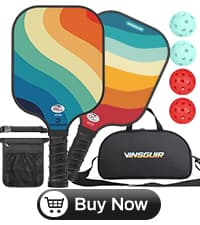 VINSGUIR Pickleball Paddle Set of 2, USAPA Approved Lightweight Fiberglass Rackets with Honeycomb Core, 4 Pickleballs & Carrying Bag, Ideal for Beginners & Gift