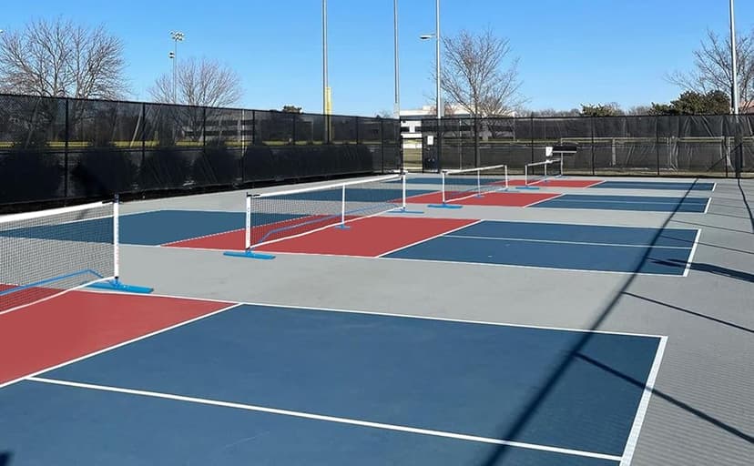 Portable Pickleball Net - 22 FT USAPA Regulation Size, Applies to Indoor & Outdoor & Driveway, Pickle Ball Net System with Carrying Bag