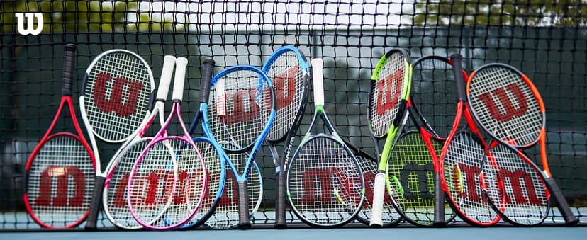 Wilson Pro Overgrip, Assorted