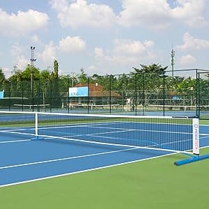 Portable Pickleball Net - 22 FT USAPA Regulation Size, Applies to Indoor & Outdoor & Driveway, Pickle Ball Net System with Carrying Bag