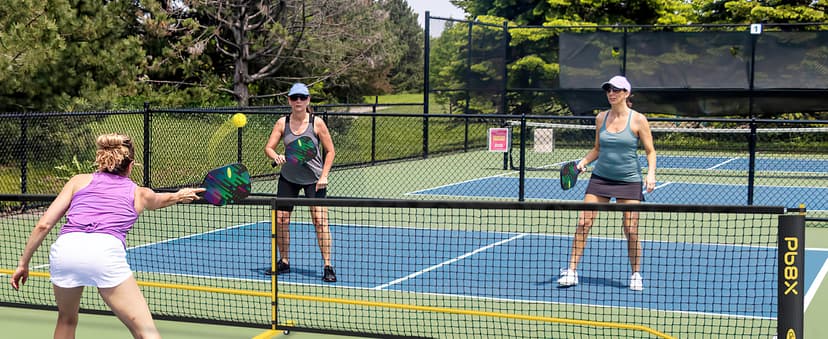 Pickleball Net Set, Portable Pickleball Set w/Wheels, 11ft & 22ft Regulation Size Pickel Ball Net, Set of 4 Balls and Paddles, Heavy Duty Frame for Backyard Driveway Outdoor