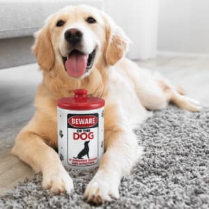 Enesco Our Name is Mud I'm Not Retired Full Time Pickleball Player Coffee Mug, 16 Ounce, Multicolor