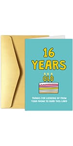 Chenive Funny Pickleball Birthday Card for Men Women, Hilarious Sport Themed Birthday Pun Card for Him Her, Dinking Of You On Your Birthday