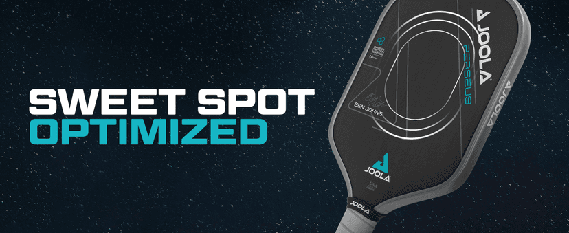 JOOLA Ben Johns Perseus Pickleball Paddle with Charged Surface Technology for Increased Power & Feel - Fully Encased Carbon Fiber w/Larger Sweet Spot - USAPA Approved