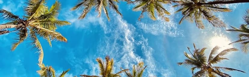 Sports Sun Visor Hats Adjustable Sun Visor Caps for Women and Men