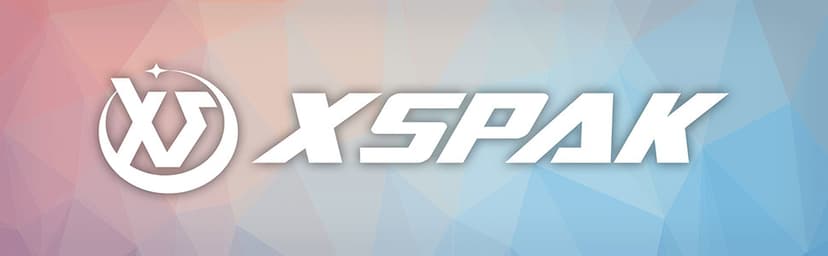 XS XSPAK Pickleball Paddles Sets, USAPA Graphite Face/Carbon Fiber and Polypropylene Honeycomb Core, Anti-Slip Sweat-Absorbing Soft Cushion Grip, Pickleball Set of 2 with 2-4 Balls and 1 Bag/Backpack