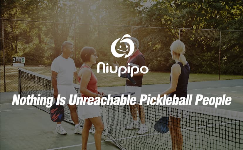 niupipo Pickleball Paddles Set of 2/4, USAPA Approved Lightweight Pickleball Rackets, Durable Fiberglass Surface with Polypropylene Honeycomb Core, Cushion Grip and Carry Bag