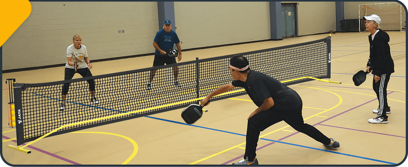 JAYA Ultra Stable Pickleball Net with Ball Holder and Balls, Weight Upgrade, IPF Standard 22 feet, Easy Setup