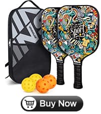 VINSGUIR Pickleball Paddle Set of 2, USAPA Approved Lightweight Fiberglass Rackets with Honeycomb Core, 4 Pickleballs & Carrying Bag, Ideal for Beginners & Gift