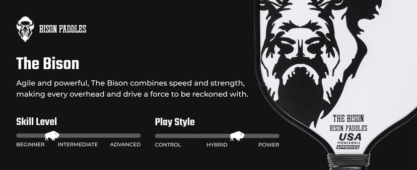 Carbon Graphite Pickleball Paddles - Lightweight Pickleball Rackets | Honeycomb Composite Core Improves Pickle Ball Placement and Increases Power | Durable Unibody Construction