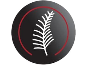 Sleeve Stars Tennis Elbow Brace for Women - Adjustable Tennis Elbow Strap, Golfers Elbow Brace for Men, Counterforce Brace for Tennis Elbow for Tendonitis Relief, Fits 9"-23" (Single/Black)