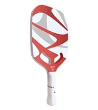 Premium Pickleball Paddle T700 Carbon Fiber, 16mm Thickness, Air Open Throat, Enhanced Spin & Control, Edgeless Design, Durable & USAPA Approved