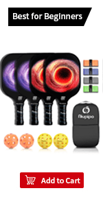 niupipo Pickleball Paddles Set of 2/4, USAPA Approved Fiberglass Surface Lightweight Pickle Ball Rackets with Honeycomb Core, 2 Indoor and 2 Outdoor Balls, 1 Carrying Bag for Beginner, Men, Women