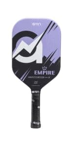 A11N SPORTS Portable Pickleball Net System, Regulation Size with Metal Frame and PE Net, Includes Carrying Bag