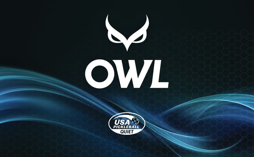 SPORT PICKLEBALL PADDLE | USAPA Pro Tournament Approved | Over 50% Noise Reduction | New Patented Nano-Technology Design & Surface | Elite Performance