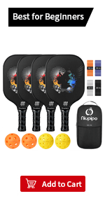 niupipo Pickleball Paddles Set of 2/4, USAPA Approved Fiberglass Surface Lightweight Pickle Ball Rackets with Honeycomb Core, 2 Indoor and 2 Outdoor Balls, 1 Carrying Bag for Beginner, Men, Women