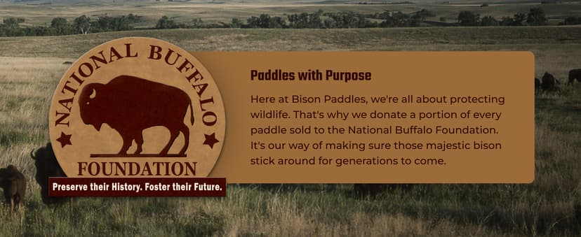 Carbon Graphite Pickleball Paddles - Lightweight Pickleball Rackets | Honeycomb Composite Core Improves Pickle Ball Placement and Increases Power | Durable Unibody Construction