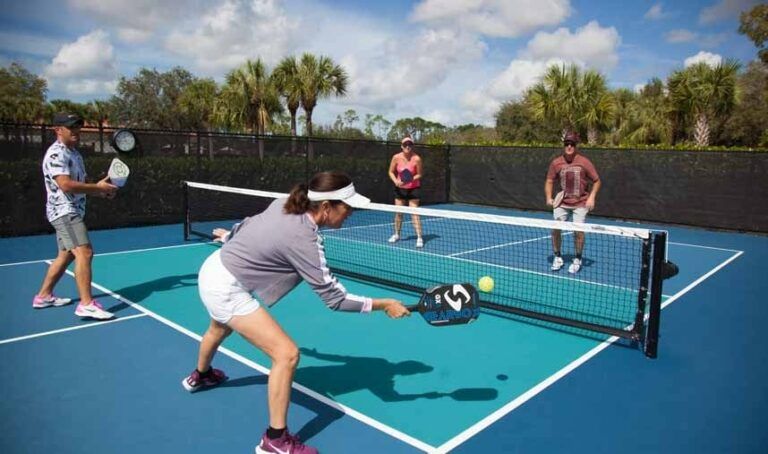 best nomex pickleball paddles
