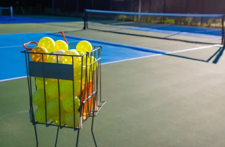 The anatomy of a pickleball