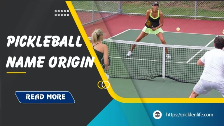 why-is-it-called-pickleball