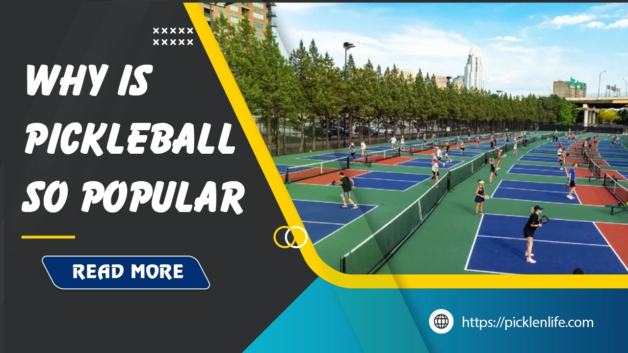 why-is-pickleball-so-popular