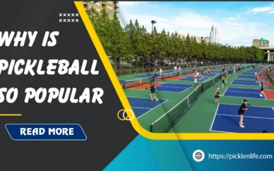 Why is pickleball so popular